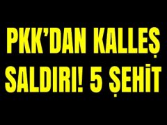Pkk’dan Kalleş Saldırı! 5 Şehit