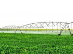 Pakdemirli Duyurdu! Türkiye’nin En Büyüğü Açılıyor