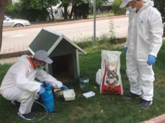 Kırşehir Belediyesi Sokak Hayvanlarını Unutmadı