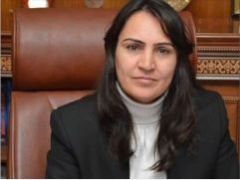 HDP’li Eski Başkan Dilek Hatipoğlu Güvenlik Güçlerine Saldırdı