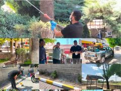 HAFTANIN 7 GÜNÜ MAHALLELERDE İLAÇLAMA ÇALIŞMALARINA DEVAM EDİLECEK