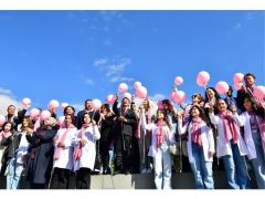 KIRŞEHİR’DE PEMBE FESTİVALİ…